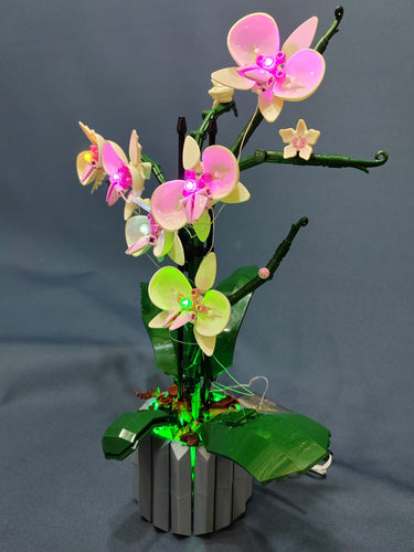 Brickstars LED light kit for Lego 10311 Creator Expert Orchid